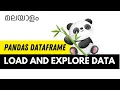 How to Load Explore and Analyze Data in Python Pandas DataFrame Tutorial