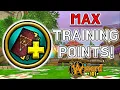 Wizard101 - What Is The MAX Number of TRAINING POINTS