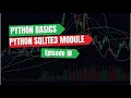 How to Use SQLite3 with Python A Simple Guide to Databases in 4 Minutes