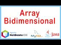 Java Programming with NetBeans Two-Dimensional Arrays