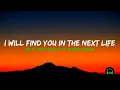Download Lagu Sia ft. Post Malone ft. Damian Marley - I Will Find You In The Next Life (Lyrics)