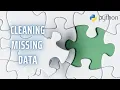 How to Handle Missing Data in Python