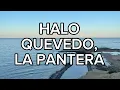 Quevedo, La Pantera - Halo (LETRA)