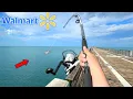 100 Walmart Pier Fishing Challenge