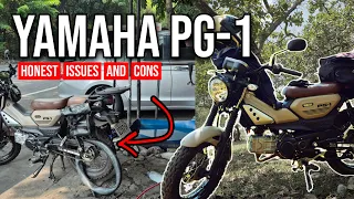 Honest issues with the Yamaha PG-1 Review after 3000 km