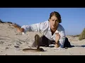 Deadliest South Africa Discovery Channel Full Documentary Episode 2