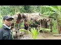 Download Lagu Perumahan Orang Suku Togutil di Tengah Hutan Halmahera II Jalan Kaki Masuk Ke Hutan