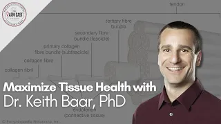 Maximizing Tissue Health: Strategies for Longevity & Performance