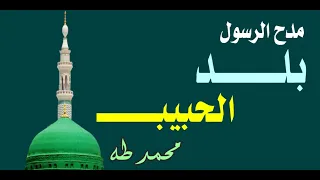 قلبى الى بلد الحبيب يهيم مدح الرسول محمد طه Mohamed Taha 
