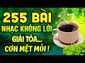 Download Lagu 255 Bài Nhạc Không Lời THƯ GIÃN ĐỈNH CAO | Hòa Tấu Rumba GIẢI TỎA CƠN MỆT MỎI | Nhạc Cafe