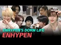 Download Lagu [ENG/JPN] First time revealing ENHYPEN's dorm full of personality! #ENHYPEN