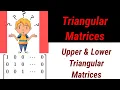 What is triangular matrices Upper lower triangular matrices 12class b sc