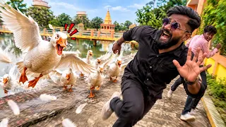 🔥🦆Duck se halat😰 kharab hogaya 🤣aaj tho