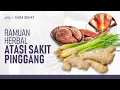 Download Lagu Cara Alami Meredakan Sakit Pinggang dengan Ramuan Herbal | Hidup Sehat tvOne