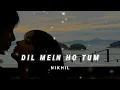 Download Lagu Dil Mein Ho Tum Slowed + Reverb - Armaan Malik | N I K H I L