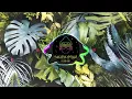 Download Lagu Shenseea - Lying If I Call It Love x Pakx Remix