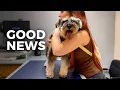 I Took my Schnauzer to the Vet GOOD NEWS