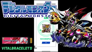 Download DIGIMON Vital Bracelet BE - PROXIMAMON || BEMemory Gammamon DiM Log #23 MP3