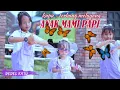 Download Lagu KUPU ~ KUPU TERBANG MELAYANG // ANAK MAMI PAPI // si COMEL DEDEG RATU ~ AA' ANGGUN ~ AA' SYAFA