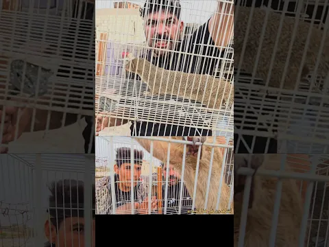 الوحش يعود من جديد 😱