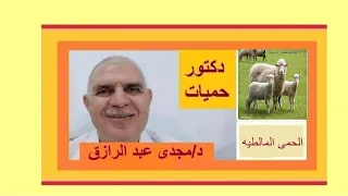 علاج الحمى المالطية  |  TREATMENT OF BRUCELLOSIS