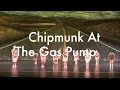 Chipmunk at the gas pump-Sat Hip Hop/Acro