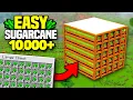 NEW BEST SUGARCANE FARM Minecraft 1 1 10