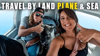 We chartered a PRIVATE PLANE for our DOG! | SAILING SUNDAY Vlog 253