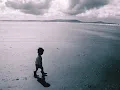 Forester - Spark