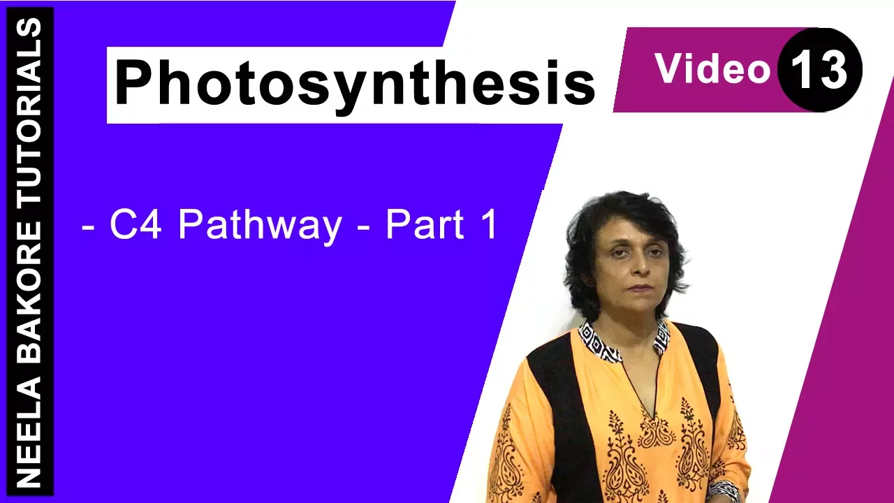 Photosynthesis | NEET | C4 Pathway - Part 1