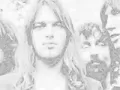 PINK FLOYD the nile song