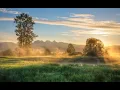 Download Lagu Backsound Relaksasi Suara Alam Pedesaan Burung Dan Kambing