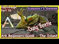 Finding a Dung Beetle - Ark Survival Evolved Beginners Guide The Island Episode 36