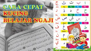 cara cepat hafal hijaiyah dengan cara kucing mengaji lucu kucing nyanyi lucu