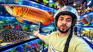 Aaj Fish Market Aa Gaya 🐟😱 Itni Saari Fish Dekhkar Hairaan Ho Gaya! | Fish Market Vlog
