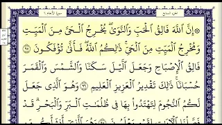 سورة الأنعام الصفحة 140 من الاية 95 الى 101 عبدالباسط عبدالصمد مجود 