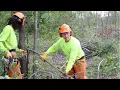 Duluth Stream Corps Gets Outdoor Jobs Done