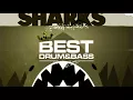 Benny L and Shimon - SHARKS [AUDIOPORN]