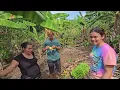 Las Frutas en Las Montanas de Honduras Miren Todo Lo que Cortamos Con La Familia
