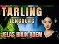 Download Lagu TARLING TENGDUNG ‼️ PERJALANAN SPESIAL MENIKMATI LAGU TARLINGAN INDRAMAYU _ JELAS BIKIN ADEM
