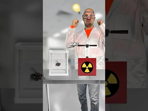 Nuclear flies