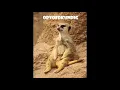 Radio barracuda | Brandewyn Etiket