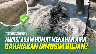 5 MANFAAT LUAR BIASA ASAM HUMAT, JARANG DIKETAHUI!! CARA MENYUBURKAN TANAH & MENYEHATKAN TANAMAN!!