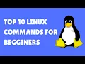 10 Basic Linux Commands For Beginners Commands Every Linux User Should Know in 2022
