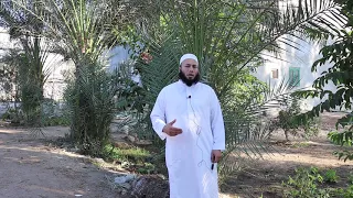 تفسير النخلة في المنام للشيخ أحمد عبد الحافظ دندنها