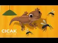 Download Lagu Cicak cicak di dinding lagu anak paling populer