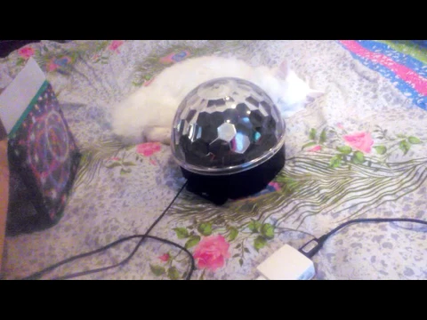 Download MP3 Обзор MP3 LED MAGIC BALl LIGHT