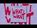Fedde Le Grand & Quînten Mertns - What I Want