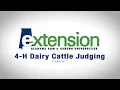 4-H Dairy Cattle Judging Udder Part 1