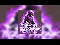Download Lagu 9LXB - Tiger Phonk MP3